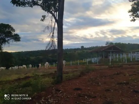 Fazendinha de 20.000m2 na grande Belo Horizonte