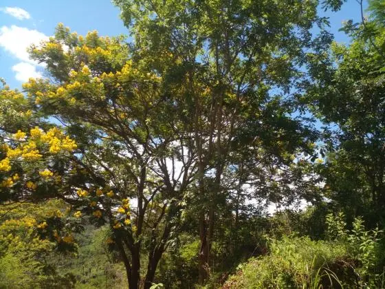 Fazendinha de 20.000m2 na grande Belo Horizonte