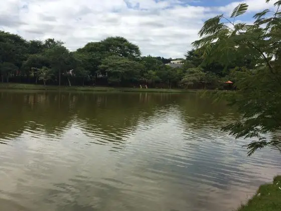 Terreno Lago dos Ipês