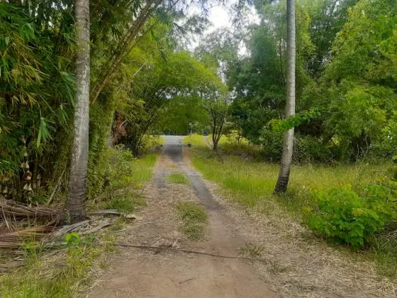 Terrenos a Venda em Imbassai-BA