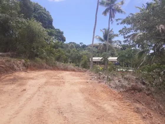 Terrenos a Venda em Imbassai-BA