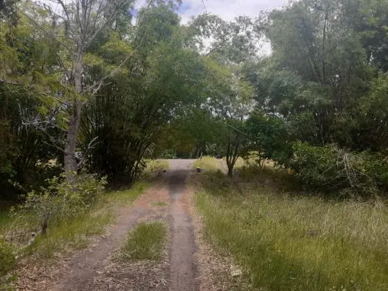 Terrenos a Venda em Imbassai-BA