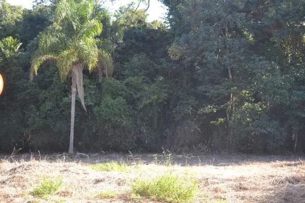 Terreno Portal das Figueiras - Itapetininga SP
