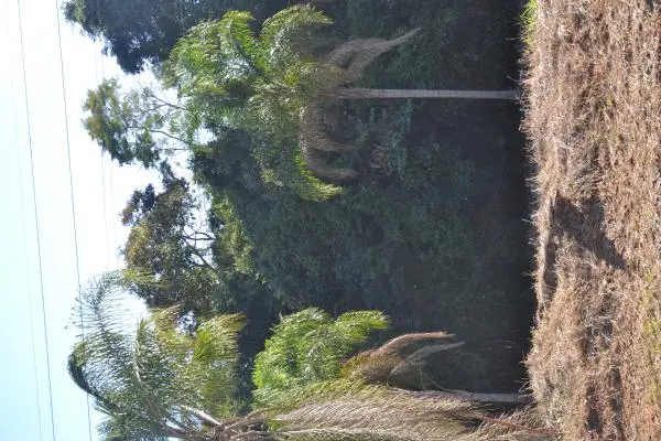 Terreno Portal das Figueiras - Itapetininga SP