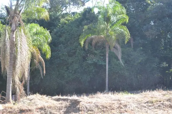 Terreno Portal das Figueiras - Itapetininga SP