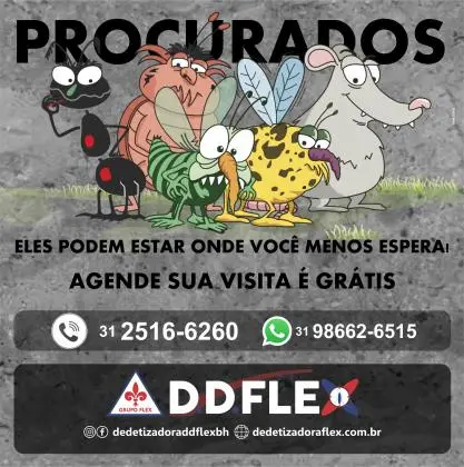 Dedetização e Dedetizadora - Barreiro