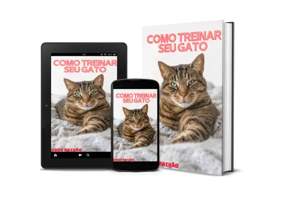 Como treinar seu gato