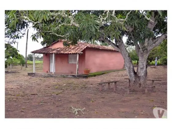 Vende-se uma ROÇA na Pedra Ferrada oportunidade promoção Feira de Santana Bahia Brasil