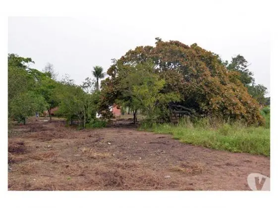 Vende-se uma ROÇA na Pedra Ferrada oportunidade promoção Feira de Santana Bahia Brasil