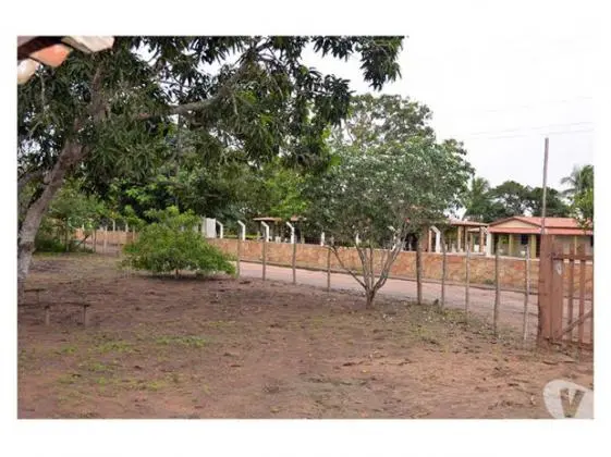Vende-se uma ROÇA na Pedra Ferrada oportunidade promoção Feira de Santana Bahia Brasil
