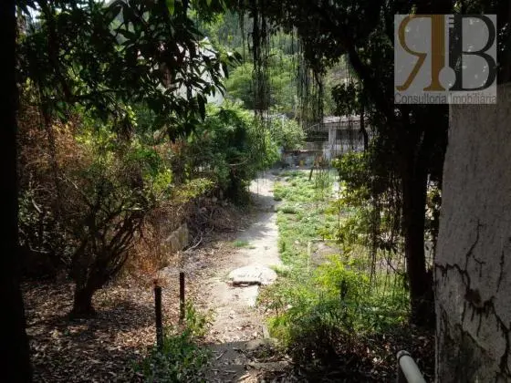 VENDA TERRENO NA FREGUESIA