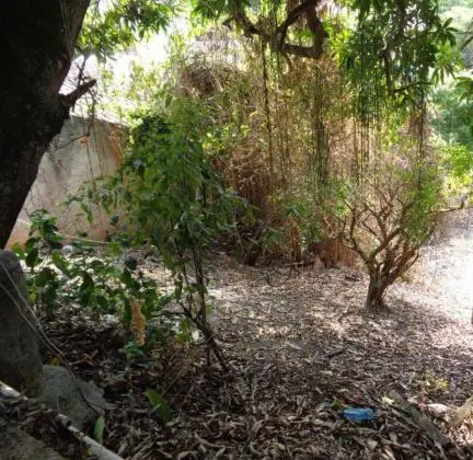 VENDA TERRENO NA FREGUESIA