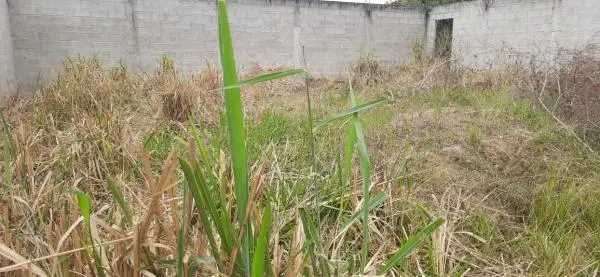 Venda de terreno em São José, Maricá
