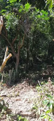 Vende-se 2 terrenos em Magé - São José da Cachoeira