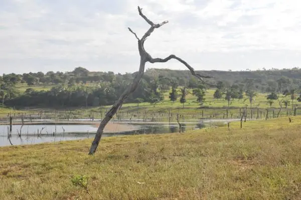 Área beira do Lago de Manso