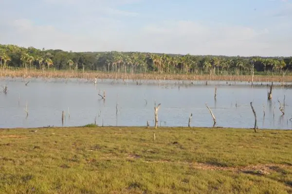 Área beira do Lago de Manso