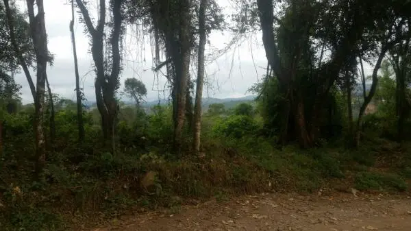 Terreno Zona Urbana Mairiporã (resdidencia/comercio)