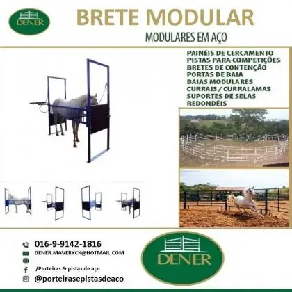 Embarcador para bovinos