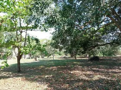 Lotes super bacanas no Alto da Rasa - Cabo Frio - RJ