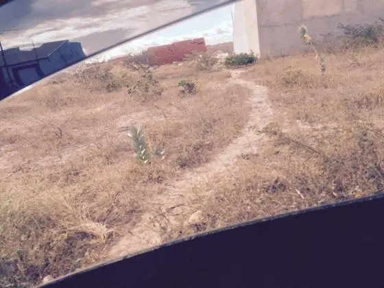 terreno 10x20