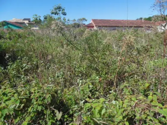 Terreno 393m2 - Condomínio Fechado