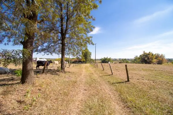 Sitio em Espigão
