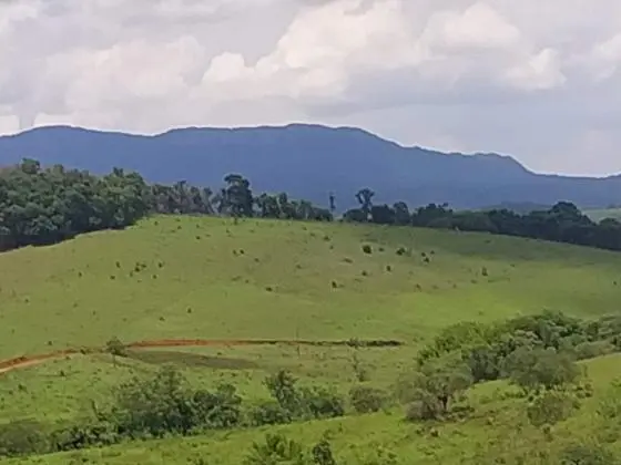 Vendo 15, 73 Hectares com Vista para a Serra de São José - Tiradentes (MG)