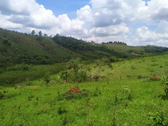 Vendo 15, 73 Hectares com Vista para a Serra de São José - Tiradentes (MG)
