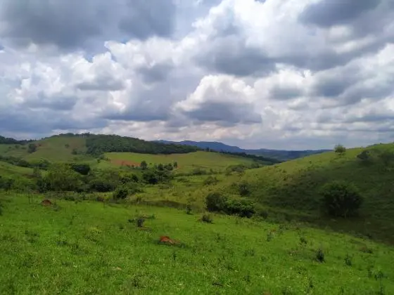 Vendo 15, 73 Hectares com Vista para a Serra de São José - Tiradentes (MG)