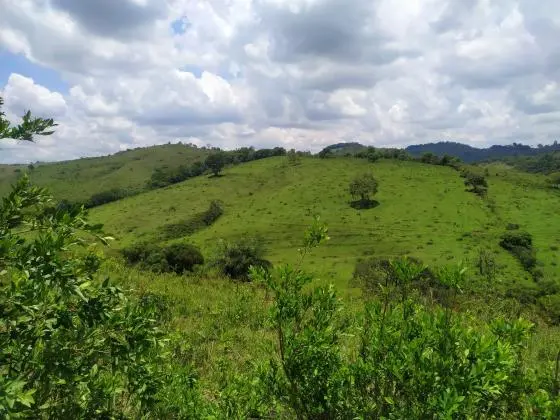 Vendo 15, 73 Hectares com Vista para a Serra de São José - Tiradentes (MG)