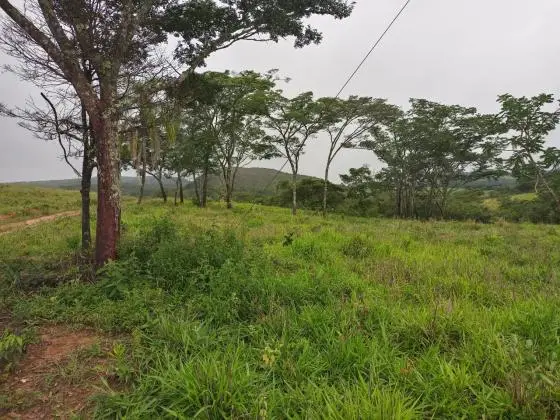Vendo àrea 10, 6 Hectares - Ritápolis - MG