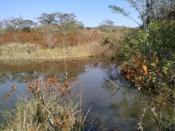 Vendo àrea 10, 6 Hectares - Ritápolis - MG