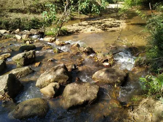 Vendo àrea 10, 6 Hectares - Ritápolis - MG