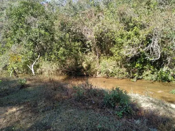 Vendo àrea 10, 6 Hectares - Ritápolis - MG