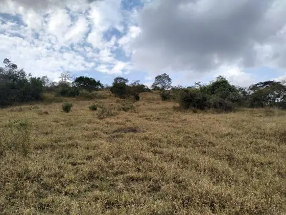 Vendo Área Rural 13 Hectares - Coronel Xavier Chaves - MG