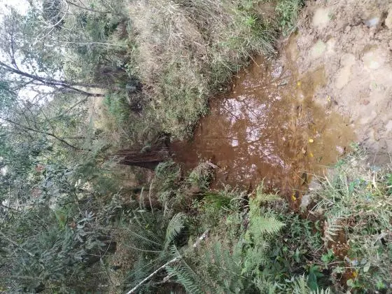 Vendo Área Rural 13 Hectares - Coronel Xavier Chaves - MG