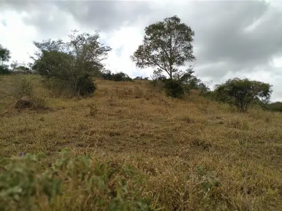 Vendo Área Rural 13 Hectares - Coronel Xavier Chaves - MG