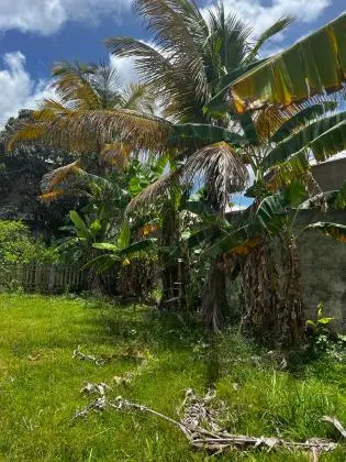 VENDO ÓTIMO TERRENO, EM ARARUAMA COM BOA LOCALIZAÇÃO .