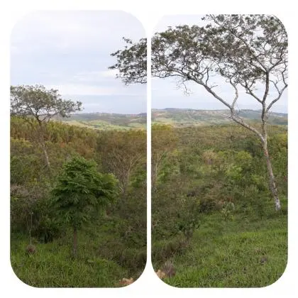 Bom Despacho - MG