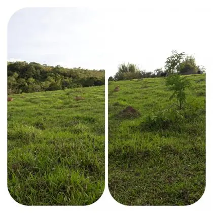Bom Despacho - MG
