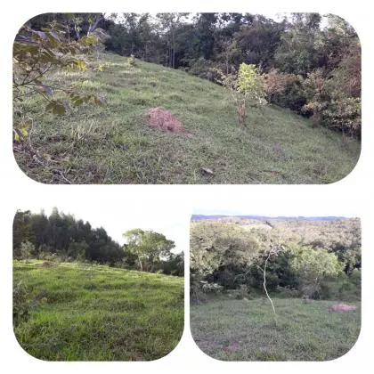 Bom Despacho - MG