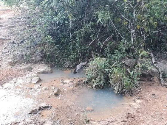 Bom Despacho - MG