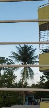 PAU AMARELO  - PAULISTA-PE/BRASIL  - APARTAMENTO À VENDA