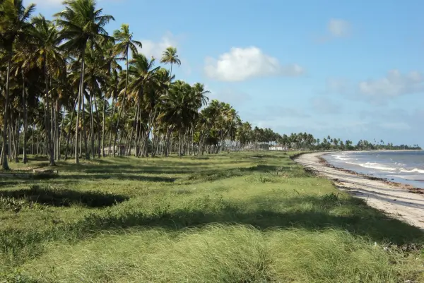 PITIMBU-PB/BRASIL  - 03 LOTES DE TERRENO EM PRAIA AZUL