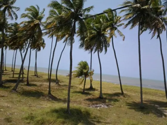 PITIMBU-PB/BRASIL  - MINI CHÁCARA NA PRAIA DE PONTA DE COQUEIRO