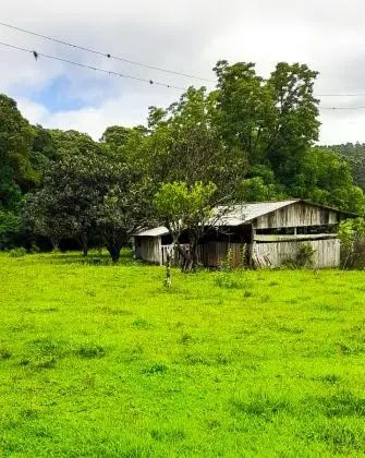 Sítio Para Criação de Gado 32 Hectares