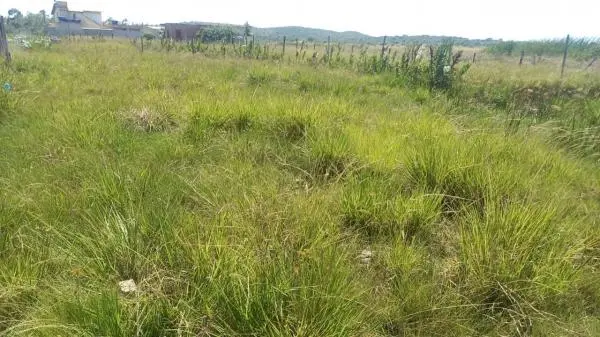 Terreno a venda - Asa Branca - Cabo Frio, perto da praia