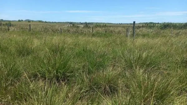 Compre seu imóvel em cabo frio