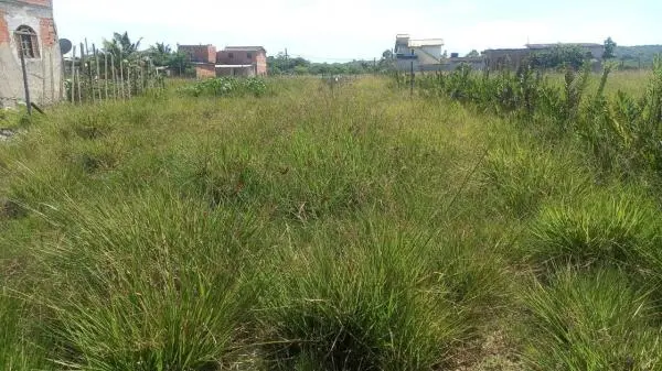 Grande Terreno Bem localizado em Búzios