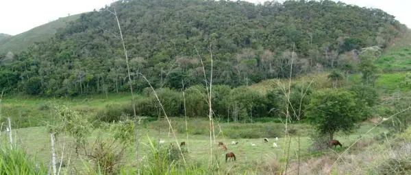 Lote 1000 m2 Jardins Continente Juiz de Fora/Coronel Pacheco